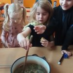 phoca_thumb_m_zajci a arodjnice 120 Fotogalerie